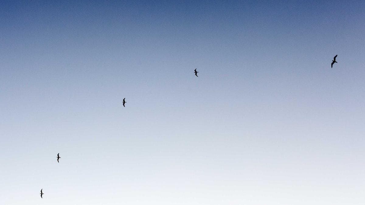 Joshua Garcia and Ivana Alawi Team Up for Romantic Drama 'Love Is Never Gone'