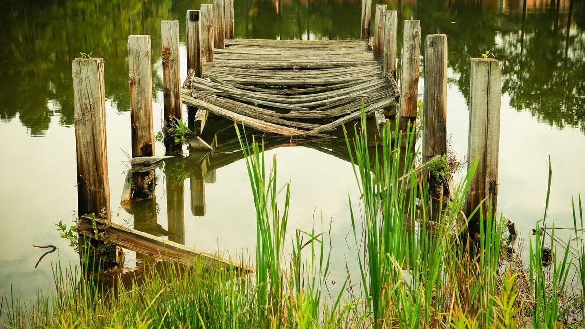 'خسرنا كل شيء': كيف دمرت مبيدات الأعشاب الإسرائيلية محاصيل ومراعي القنيطرة