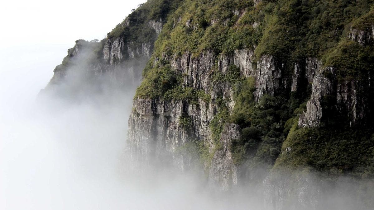 بعد قوات سوريا الديمقراطية: كيف يمكن للرقة إصلاح نسيجها الاجتماعي؟