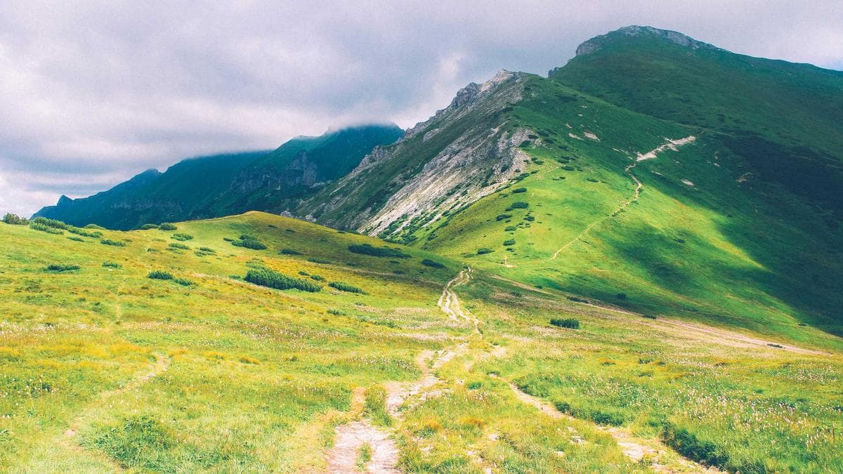 مشروع قانون جديد في لبنان لحظر وسائل التواصل الاجتماعي للأطفال دون سن 14