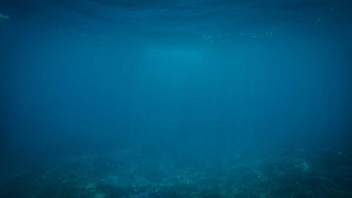 ترامب يصدر إنذارًا لمدة 48 ساعة بشأن مضيق هرمز ويهدد بمهاجمة محطات الكهرباء الإيرانية