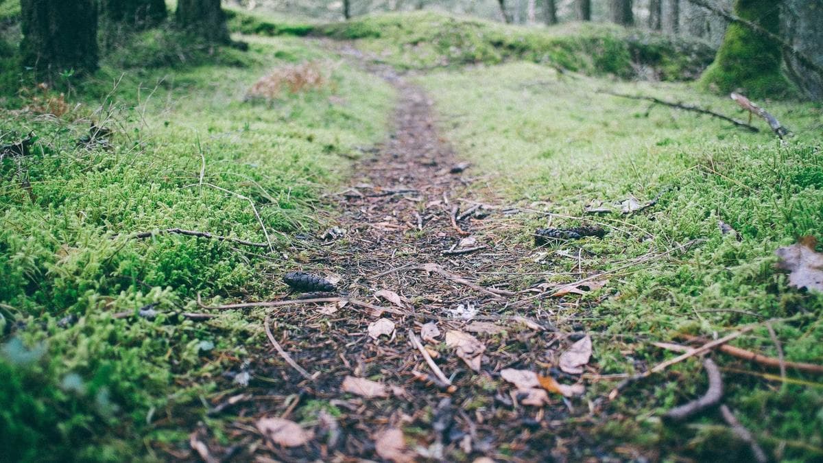 الولايات المتحدة تؤكد استرجاع ضابط أمريكي وسط تصعيد التوترات بين إيران وإسرائيل على الأهداف الاستراتيجية