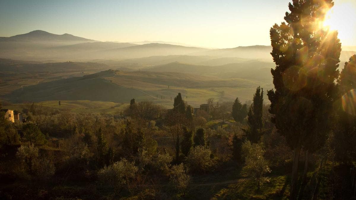 Alawite Women Detail Abductions and Violence in Post-Assad Syria