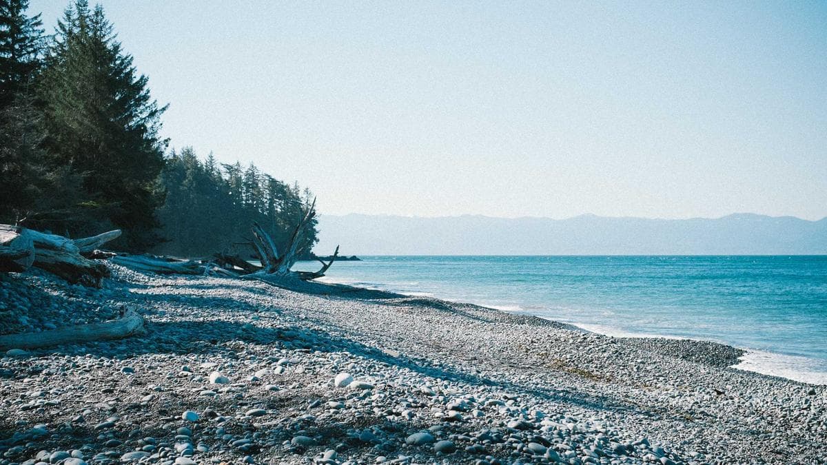 Body of Missing Alawite Youth Discovered in Homs Countryside