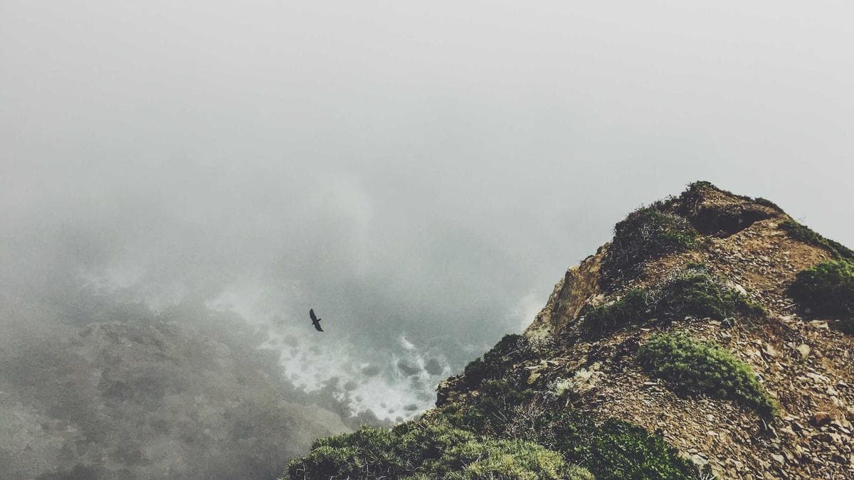 IDF kills Hezbollah operatives in south Lebanon firefight; no Israeli injuries reported - The Times of Israel