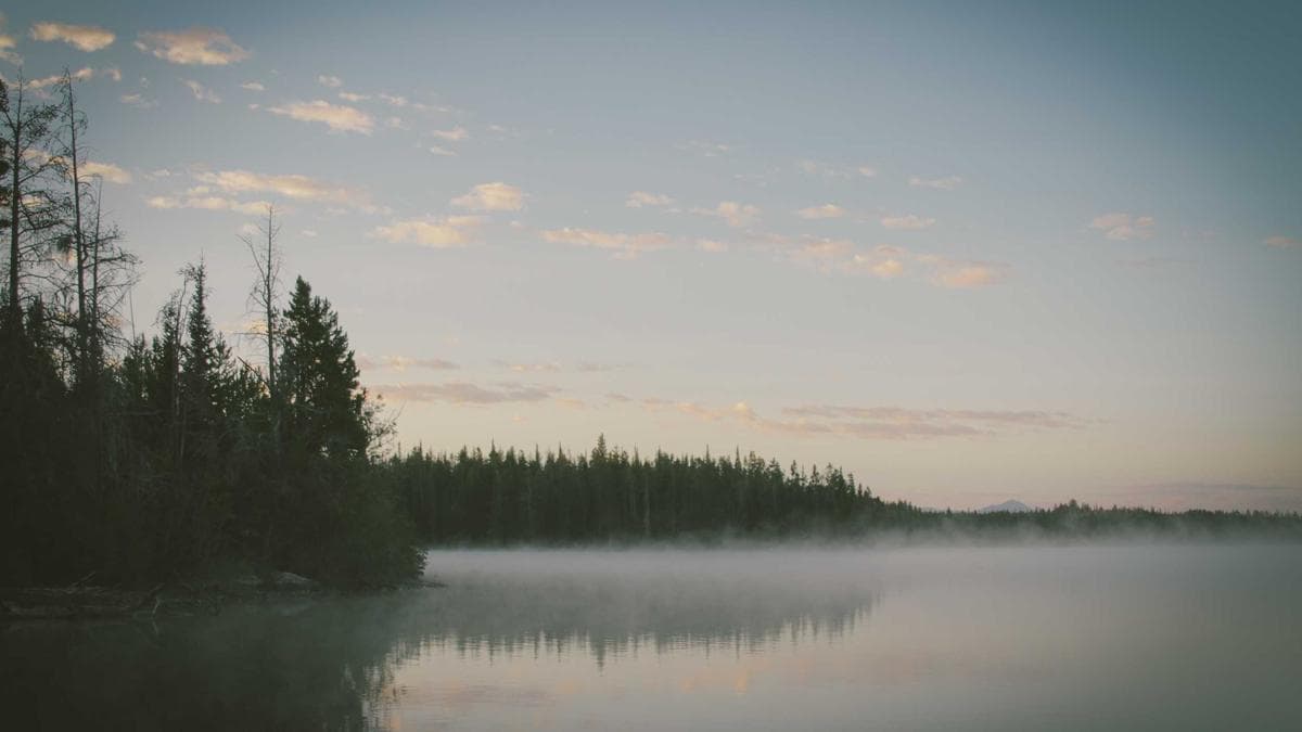 Turkish Delegation from Hatay Strengthens Ties with Uzbekistan in Strategic Visit