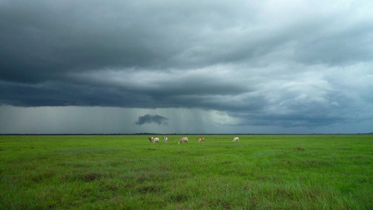 الولايات المتحدة تعلن حصاراً بحرياً شاملاً على الموانئ الإيرانية وسط فشل محادثات السلام