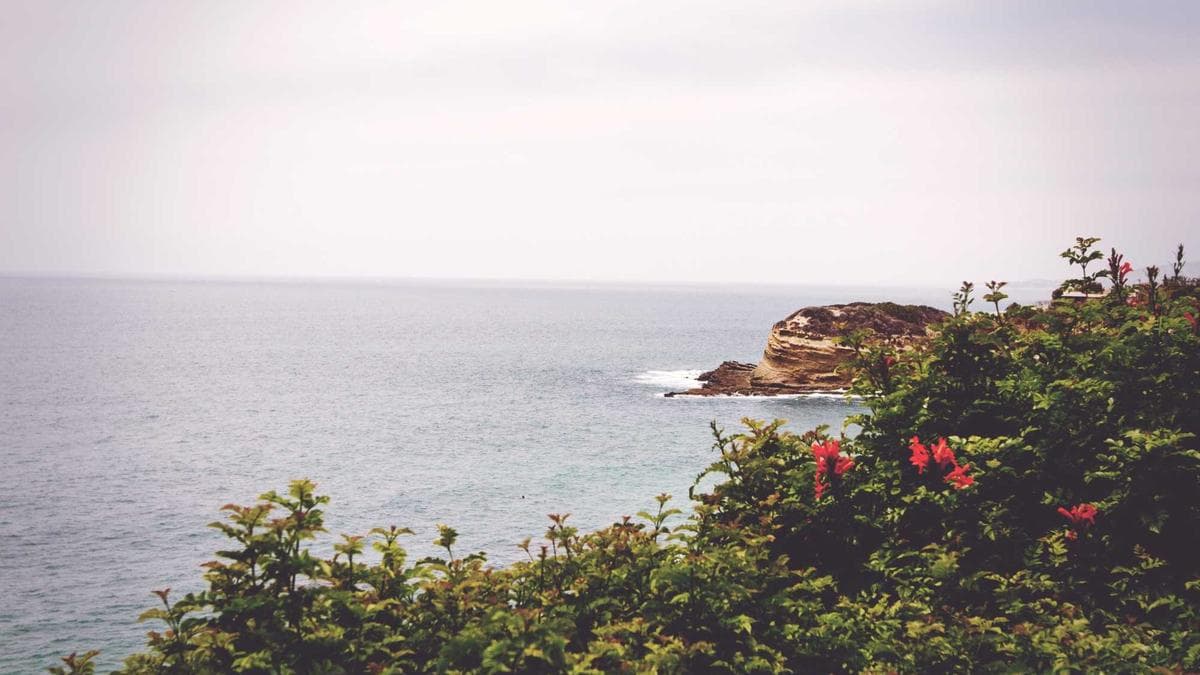 Joshua Garcia and Ivana Alawi's New Romance Drama Heads to Prime Video This May