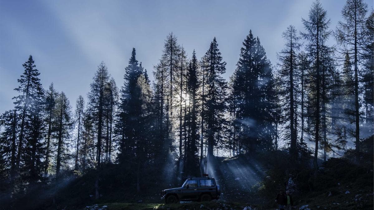 الزلزال السياسي في المجر: الناخبون ينهون حكم أوربان لمدة 16 سنة