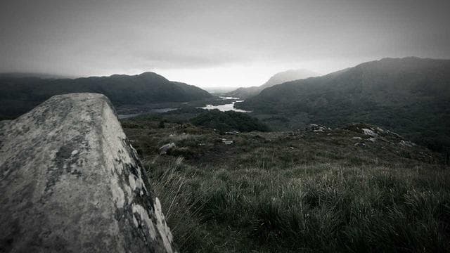 Carbon Capture Hits $100 Milestone